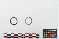 Foto von Bronzering (NHMW-PRAE-024110)
